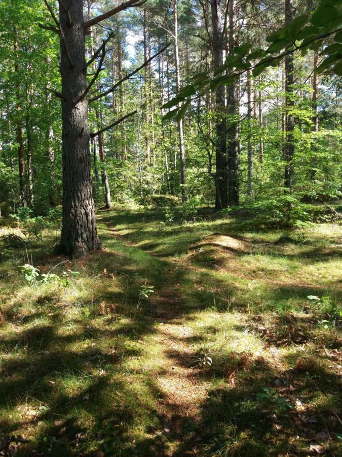 Ferienhaus Heidi Rosenfors Bagian luar foto